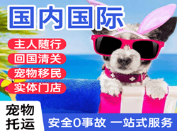 瑷珲机场快运国际宠物托运 【国